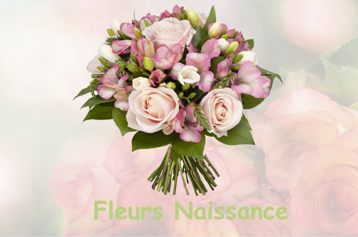 fleurs naissance SAINT-LAURENT-DE-JOURDES